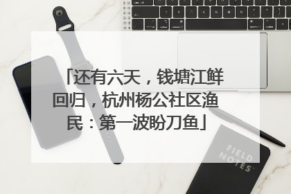 还有六天，钱塘江鲜回归，杭州杨公社区渔民：第一波盼刀鱼