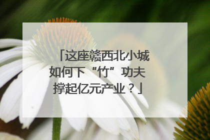这座赣西北小城如何下“竹”功夫撑起亿元产业？