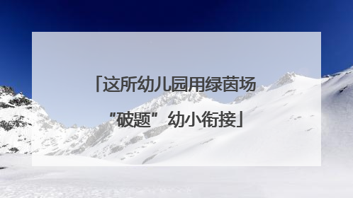 这所幼儿园用绿茵场“破题”幼小衔接