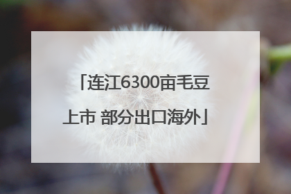 连江6300亩毛豆上市 部分出口海外