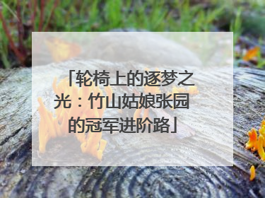 轮椅上的逐梦之光：竹山姑娘张园的冠军进阶路
