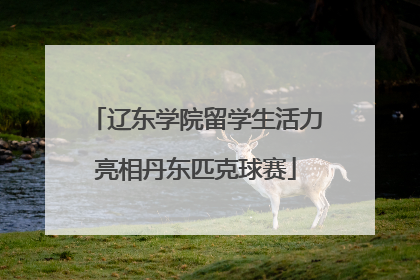 辽东学院留学生活力亮相丹东匹克球赛