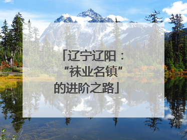 辽宁辽阳：“袜业名镇”的进阶之路