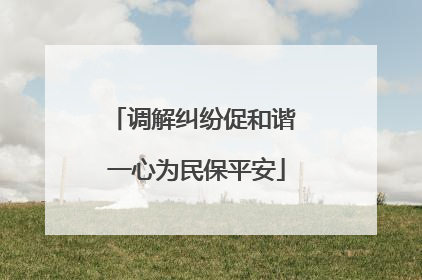 调解纠纷促和谐 一心为民保平安
