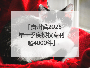 贵州省2025年一季度授权专利超4000件