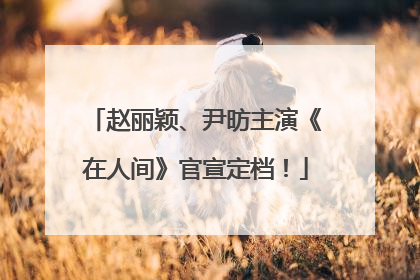 赵丽颖、尹昉主演《在人间》官宣定档！