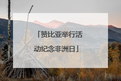 赞比亚举行活动纪念非洲日