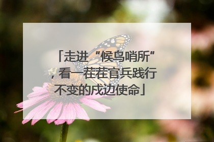 走进“候鸟哨所”，看一茬茬官兵践行不变的戍边使命