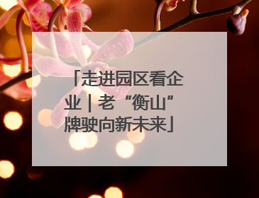 走进园区看企业｜老“衡山”牌驶向新未来