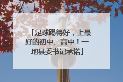 足球踢得好，上最好的初中、高中！一地县委书记承诺