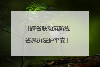 跨省联动筑防线 省界执法护平安