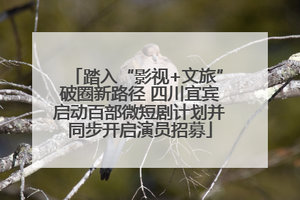 踏入“影视+文旅”破圈新路径 四川宜宾启动百部微短剧计划并同步开启演员招募