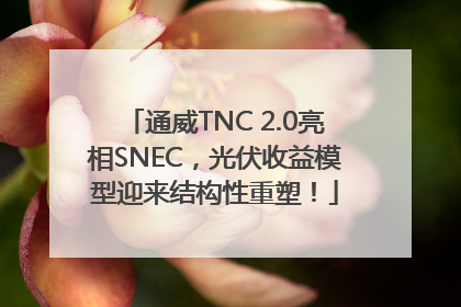 通威TNC 2.0亮相SNEC，光伏收益模型迎来结构性重塑！