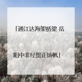 通江达海架桥梁 岳阳中非经贸正扬帆