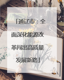 通辽市：全面深化能源改革闯出高质量发展新路