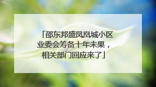 邵东邦盛凤凰城小区业委会筹备十年未果，相关部门回应来了