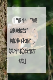 邹平“警源融治”：精准化解，筑牢稳定防线