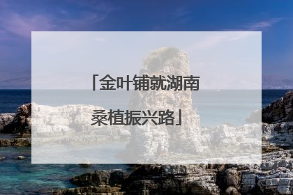 金叶铺就湖南桑植振兴路