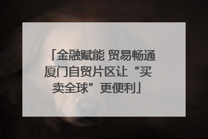 金融赋能 贸易畅通 厦门自贸片区让“买卖全球”更便利