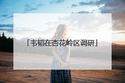 韦韬在杏花岭区调研