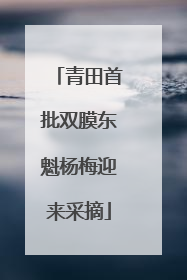 青田首批双膜东魁杨梅迎来采摘