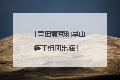 青田黄菊和阜山笋干组团出海
