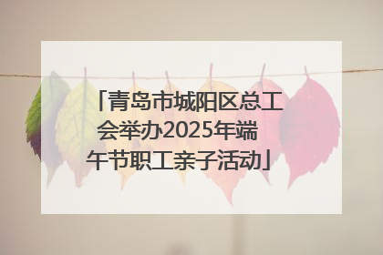 青岛市城阳区总工会举办2025年端午节职工亲子活动