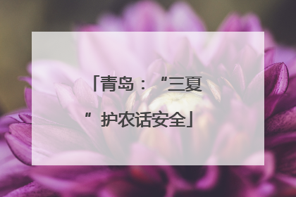 青岛：“三夏”护农话安全