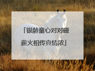 银龄童心对对碰 薪火相传真情浓
