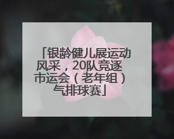 银龄健儿展运动风采，20队竞逐市运会（老年组）气排球赛