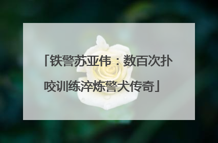 铁警苏亚伟：数百次扑咬训练淬炼警犬传奇