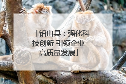 铅山县：强化科技创新 引领企业高质量发展