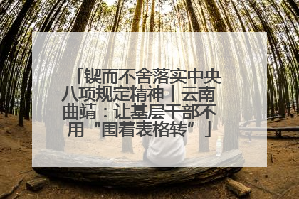 锲而不舍落实中央八项规定精神丨云南曲靖：让基层干部不用“围着表格转”
