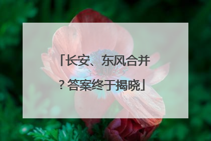 长安、东风合并？答案终于揭晓