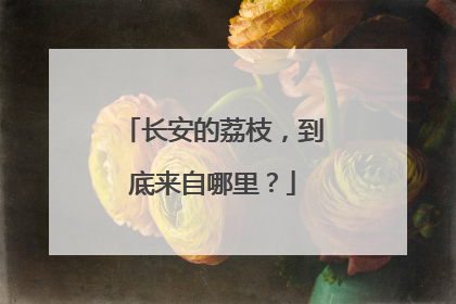 长安的荔枝，到底来自哪里？