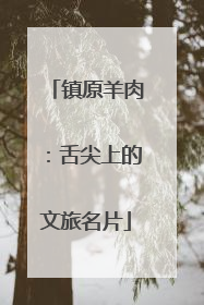 镇原羊肉：舌尖上的文旅名片