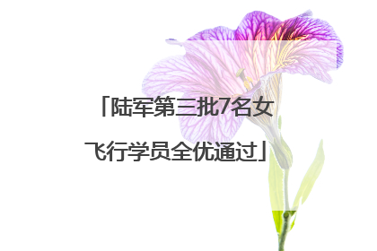 陆军第三批7名女飞行学员全优通过