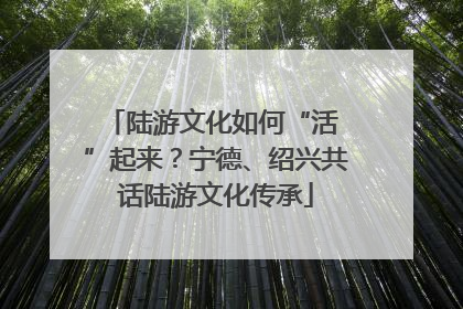 陆游文化如何“活 ”起来？宁德、绍兴共话陆游文化传承