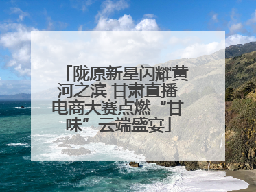 陇原新星闪耀黄河之滨 甘肃直播电商大赛点燃“甘味”云端盛宴