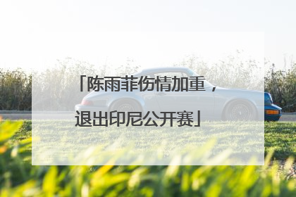 陈雨菲伤情加重，退出印尼公开赛