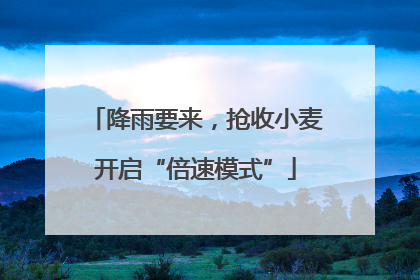 降雨要来，抢收小麦开启“倍速模式”