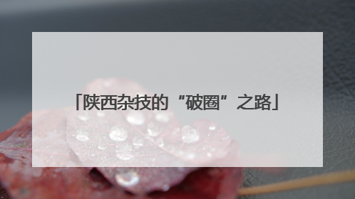 陕西杂技的“破圈”之路