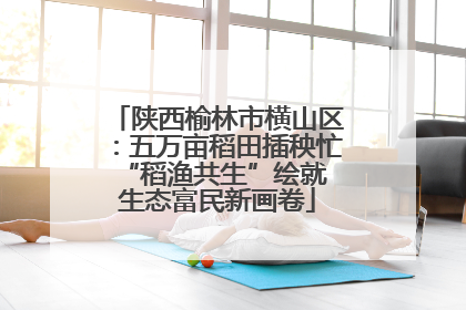 陕西榆林市横山区：五万亩稻田插秧忙 “稻渔共生”绘就生态富民新画卷