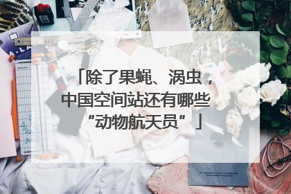 除了果蝇、涡虫，中国空间站还有哪些“动物航天员”