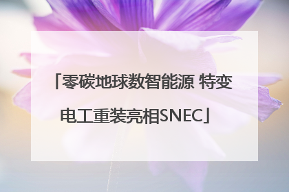 零碳地球数智能源 特变电工重装亮相SNEC