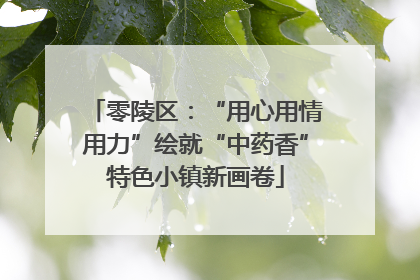 零陵区：“用心用情用力”绘就“中药香”特色小镇新画卷