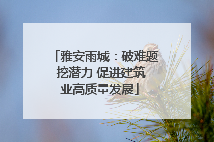雅安雨城：破难题 挖潜力 促进建筑业高质量发展