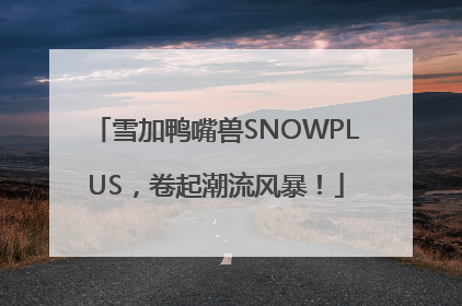 雪加鸭嘴兽SNOWPLUS，卷起潮流风暴！