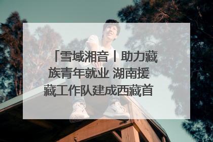 雪域湘音丨助力藏族青年就业 湖南援藏工作队建成西藏首个清洁能源装备园