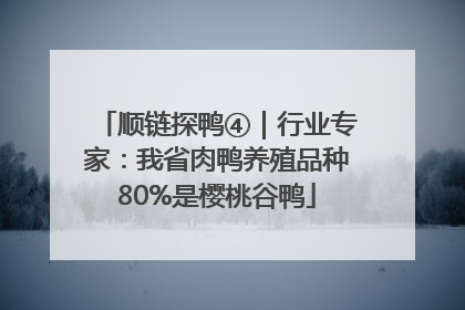 顺链探鸭④｜行业专家：我省肉鸭养殖品种80%是樱桃谷鸭